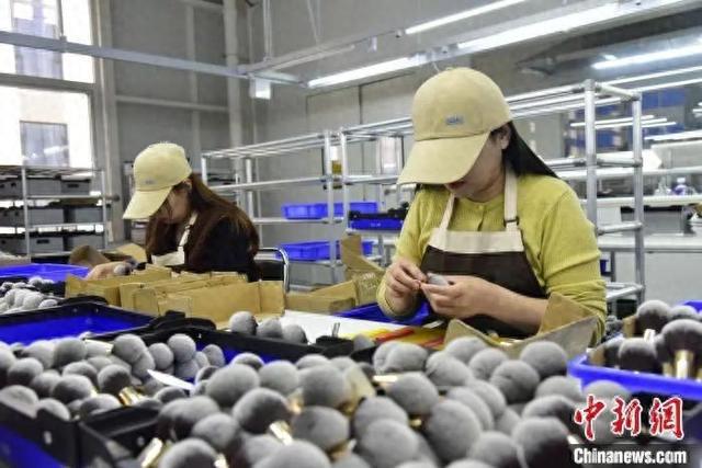 真有“两把刷子”！冰球突破网站沧州(图4)