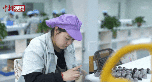 真有“两把刷子”！冰球突破网站沧州(图13)