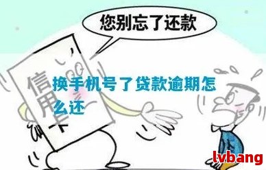 换新手机号的正确步骤指南冰球突破应对网贷逾期后更(图4)