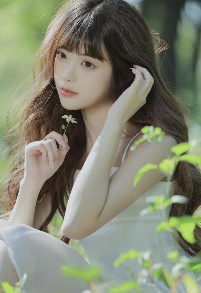 宠肉系统nh冰球突破雍正